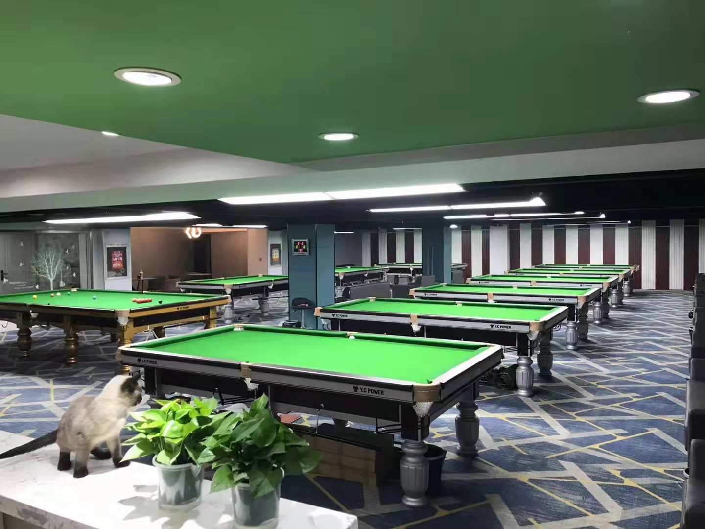 YCPOWER台球俱乐长治店(图8)